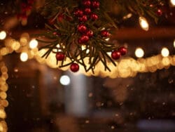 Under the Mistletoe