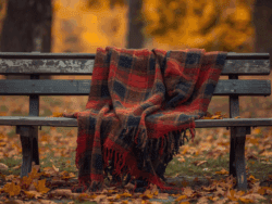 Flannel Season