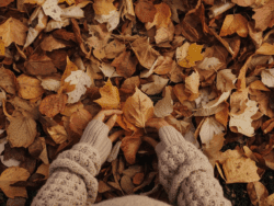 Sweater Weather